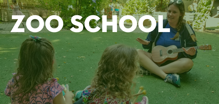 Zoo Program Roger Williams Park Zoo